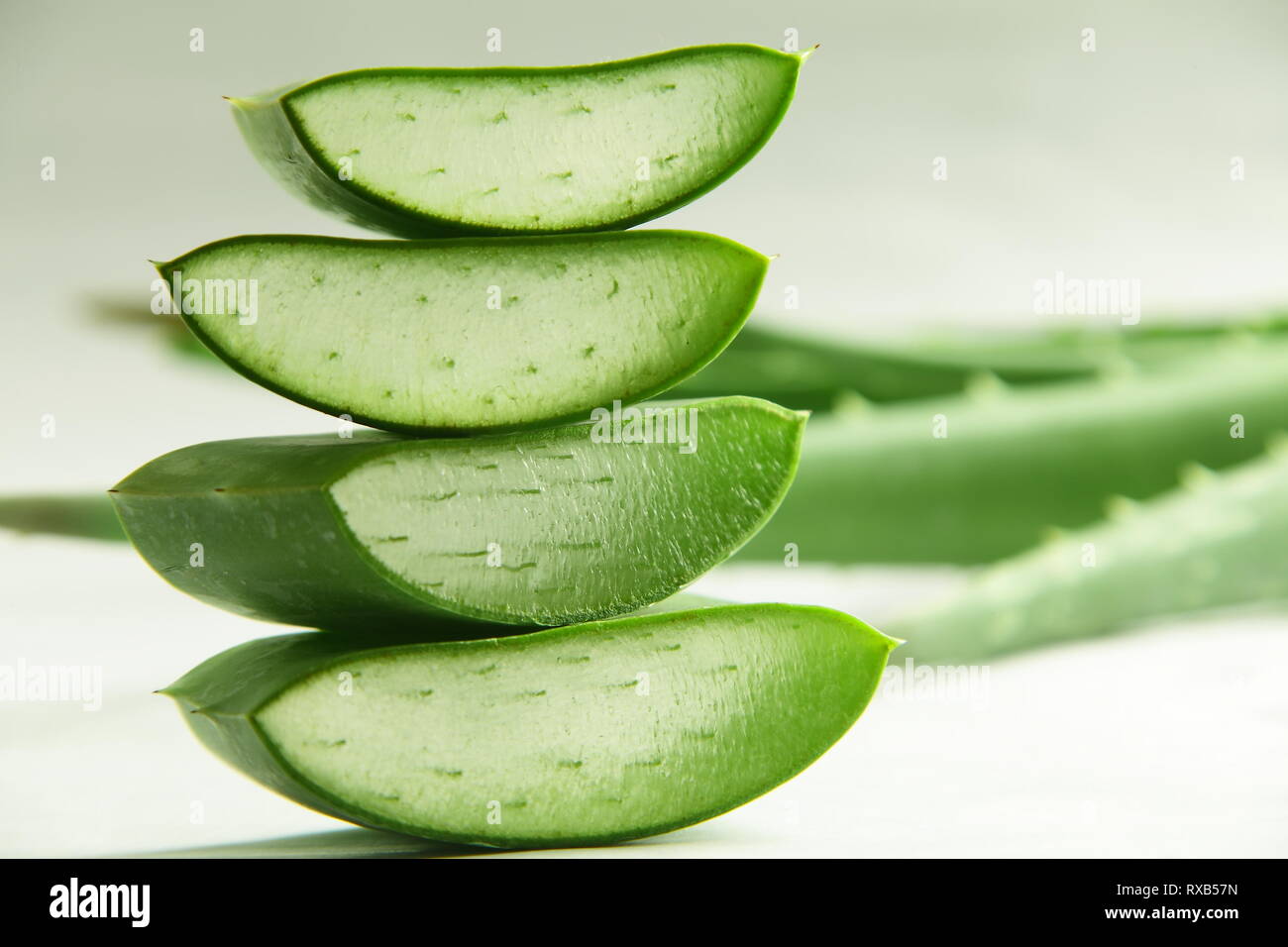 Organic aloe vera lascia le fette su sfondo bianco. Foto Stock