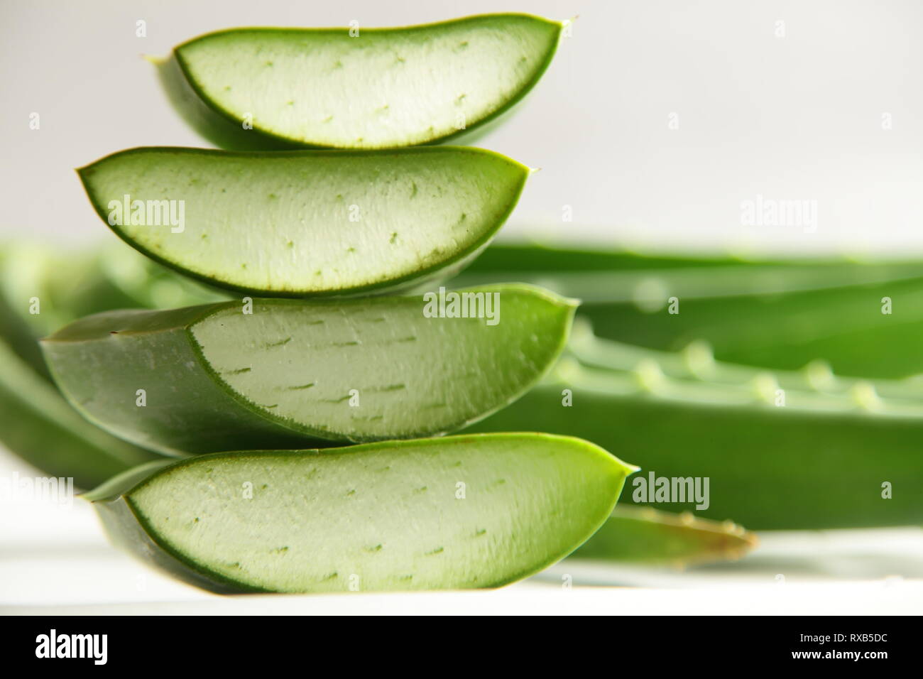 Organic aloe vera lascia le fette su sfondo bianco. Foto Stock