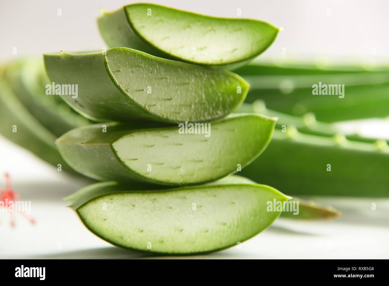 Organic aloe vera lascia le fette su sfondo bianco. Foto Stock