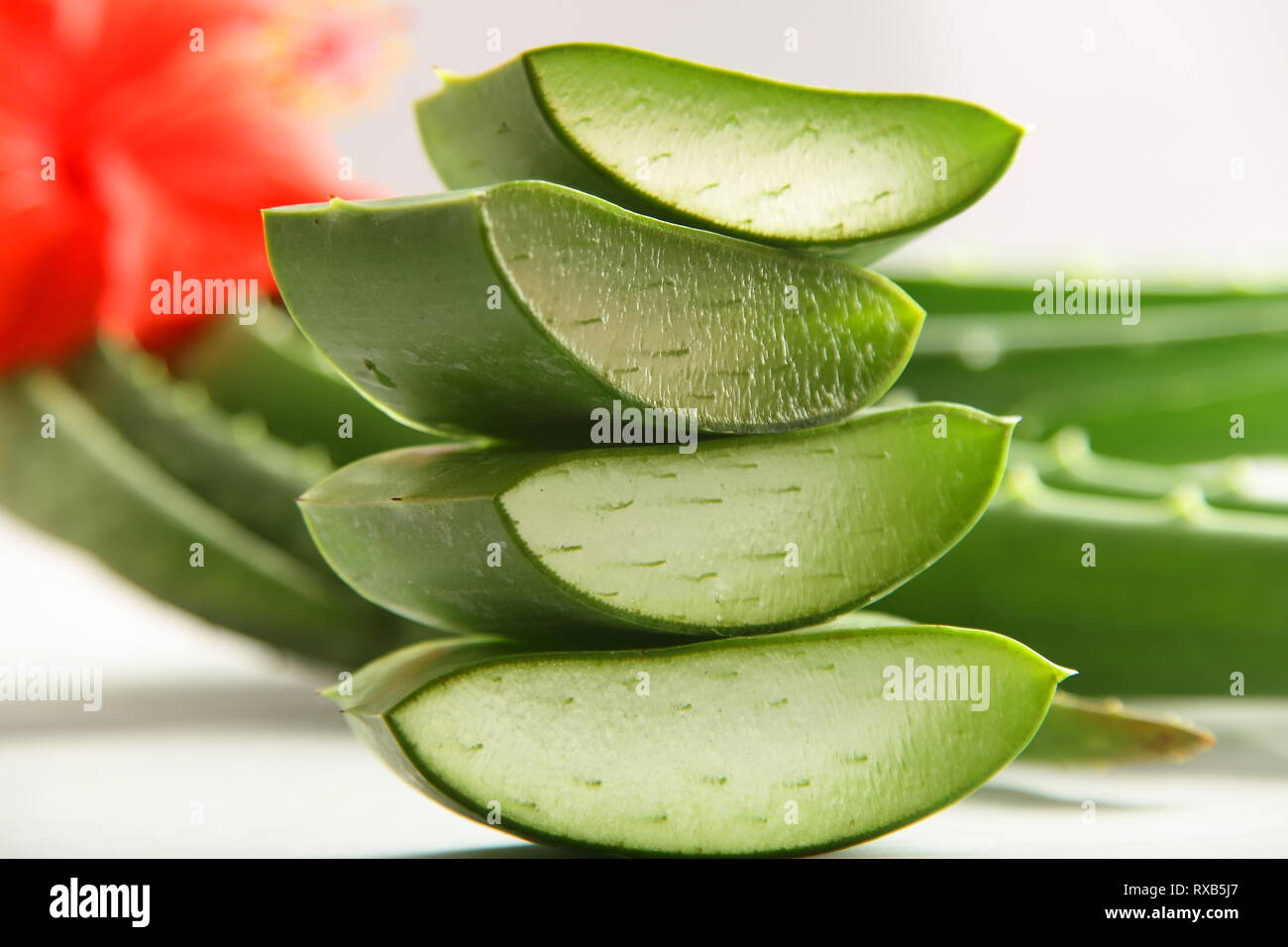 Organic aloe vera lascia le fette su sfondo bianco. Foto Stock