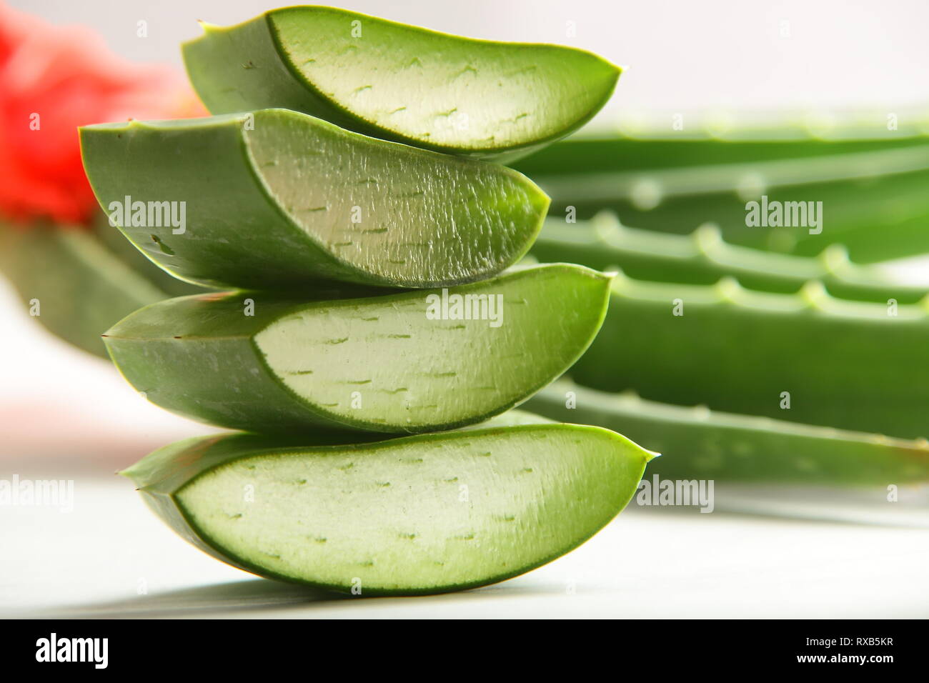Organic aloe vera lascia le fette su sfondo bianco. Foto Stock