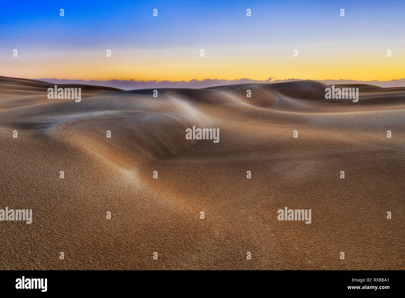 SUnrise sole di mattina luce su impietrito intatte le dune di sabbia in zona deserta di Stockton Beach in Australia - parte remota del parco nazionale con sensore pioggia Foto Stock