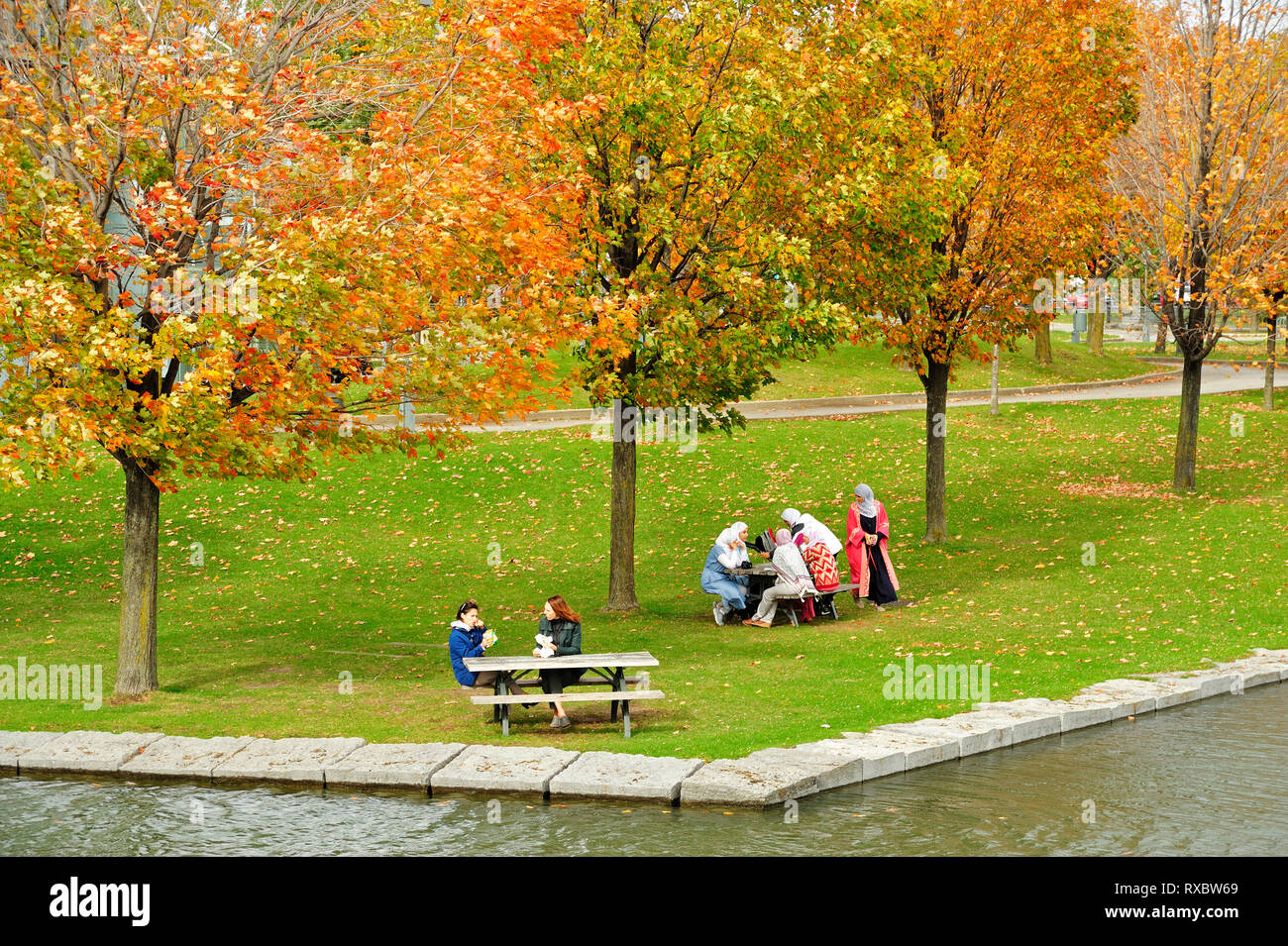 Le donne fare picnic nel parco al Vecchio Porto di Montreal, Quebec, Canada Foto Stock