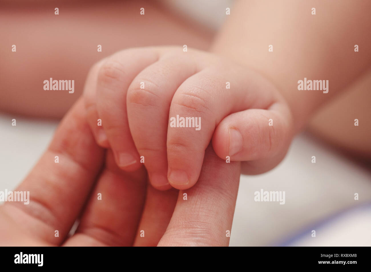 Baby mano sul palm genitore vista ravvicinata Foto Stock