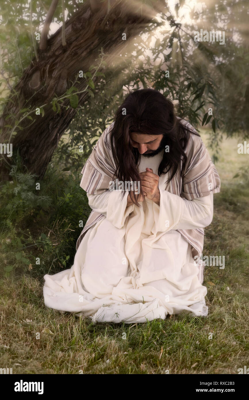 Gesù in agonia prega nel giardino delle olive prima della sua crocifissione Foto Stock