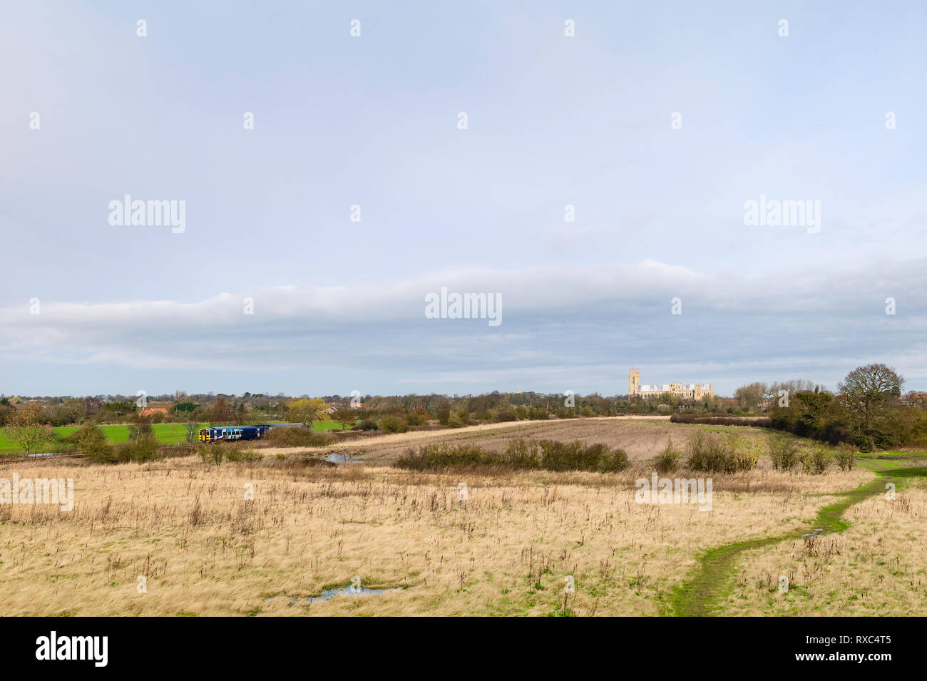 Il paesaggio agricolo e di un parco con alberi secolari e antiche minster sull'orizzonte e il convoglio ferroviario in primavera a Beverley, Yorkshire. Foto Stock