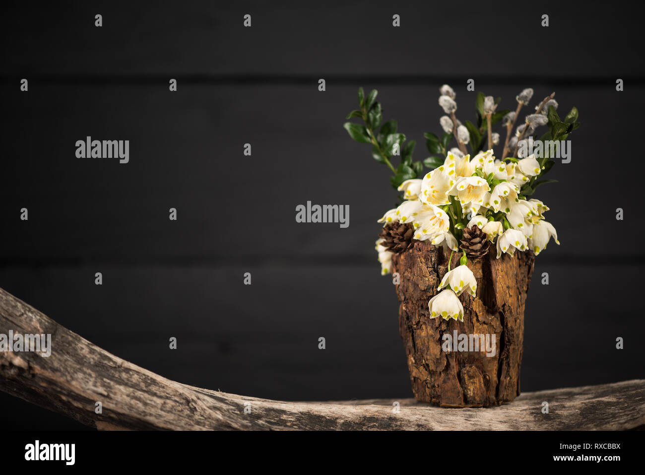 Fiori in vaso decorativo. Leucojum vernum è la prima molla il simbolo del fiocco di neve. Tema della International Womens Day. Foto Stock
