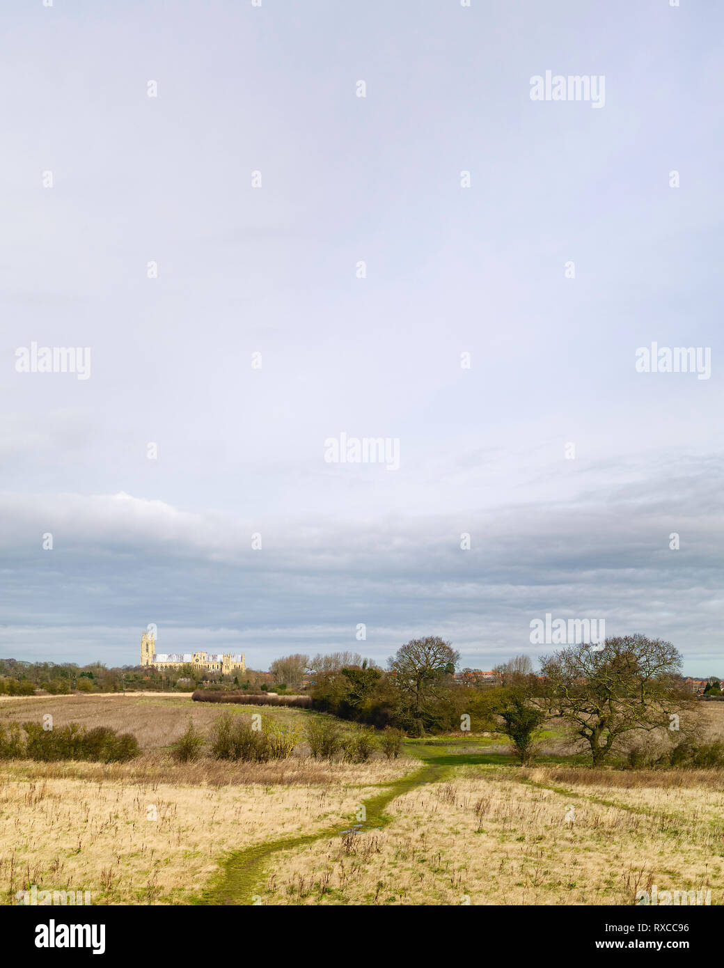 Vista attraverso il paesaggio agricolo e di un parco con alberi secolari e antiche minster sull orizzonte in primavera a Beverley, Yorkshire, Foto Stock