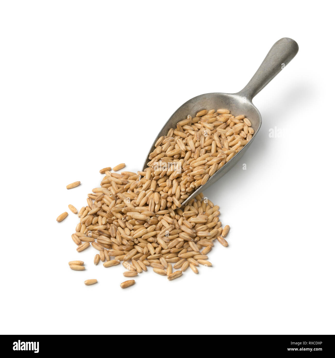 Scoop di metallo con organici essiccati sementi di avena isolati su sfondo bianco Foto Stock