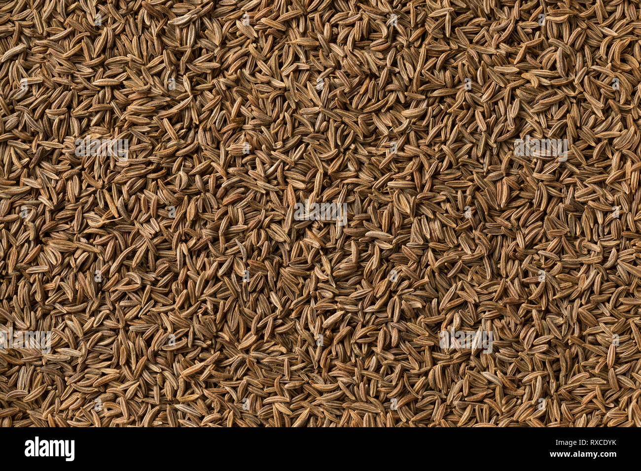 Organico essiccato di semi di cumino frame completo Foto Stock