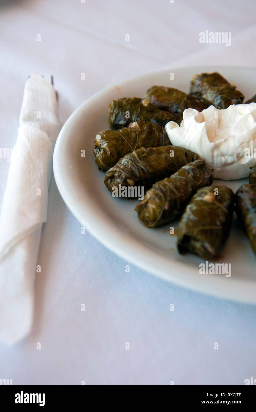 Un piatto di dolmades, foglie d'uva ripiene, servito con yogurt sull'isola greca di Creta. Foto Stock