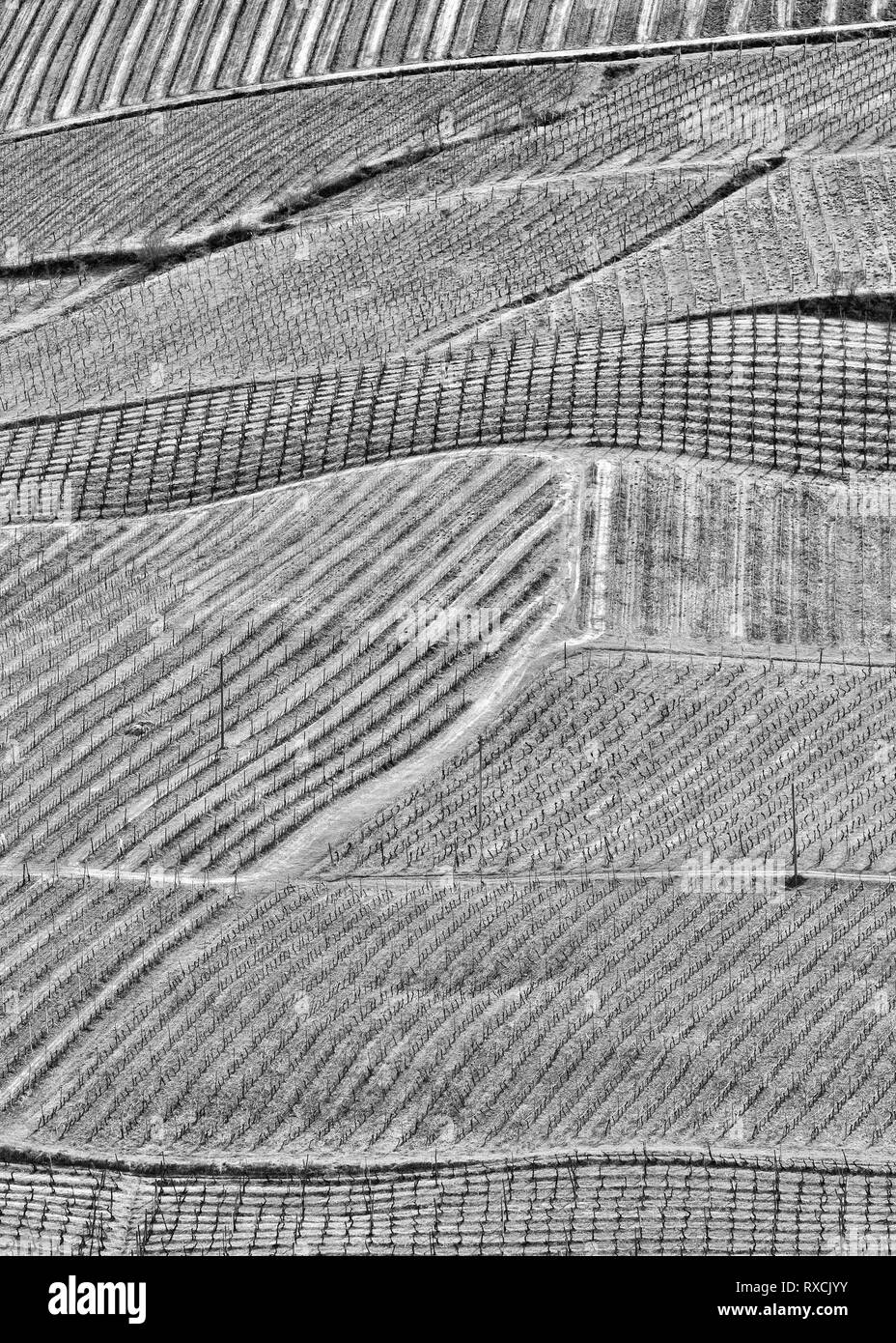 Terre di vigneti e colline toscane, Italia paesaggio Foto Stock