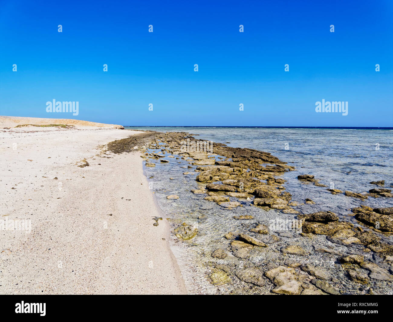 La bassa marea su una spiaggia deserta sulle rive del Mar Rosso. Chiaro acque poco profonde con rocce di grandi dimensioni Foto Stock