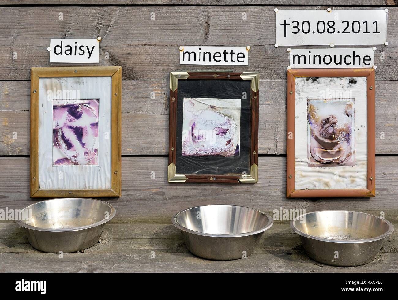 Coppe di alimentazione per cani a Berlino Foto Stock