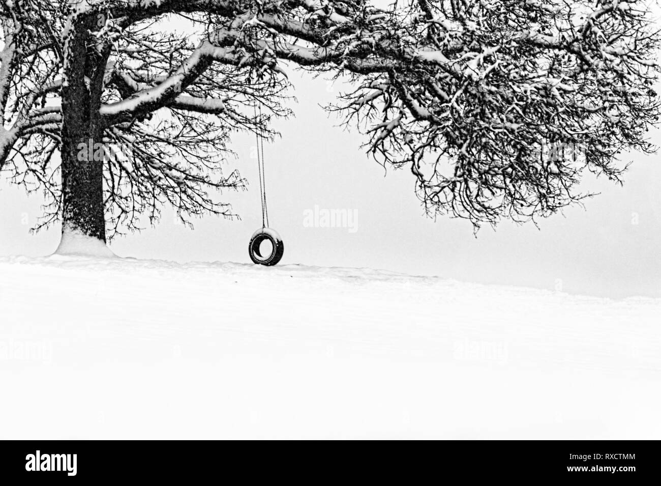 In inverno la neve cade con frigida temps lasciando questo tire swing abbandonato fino alle condizioni atmosferiche migliori. Foto Stock