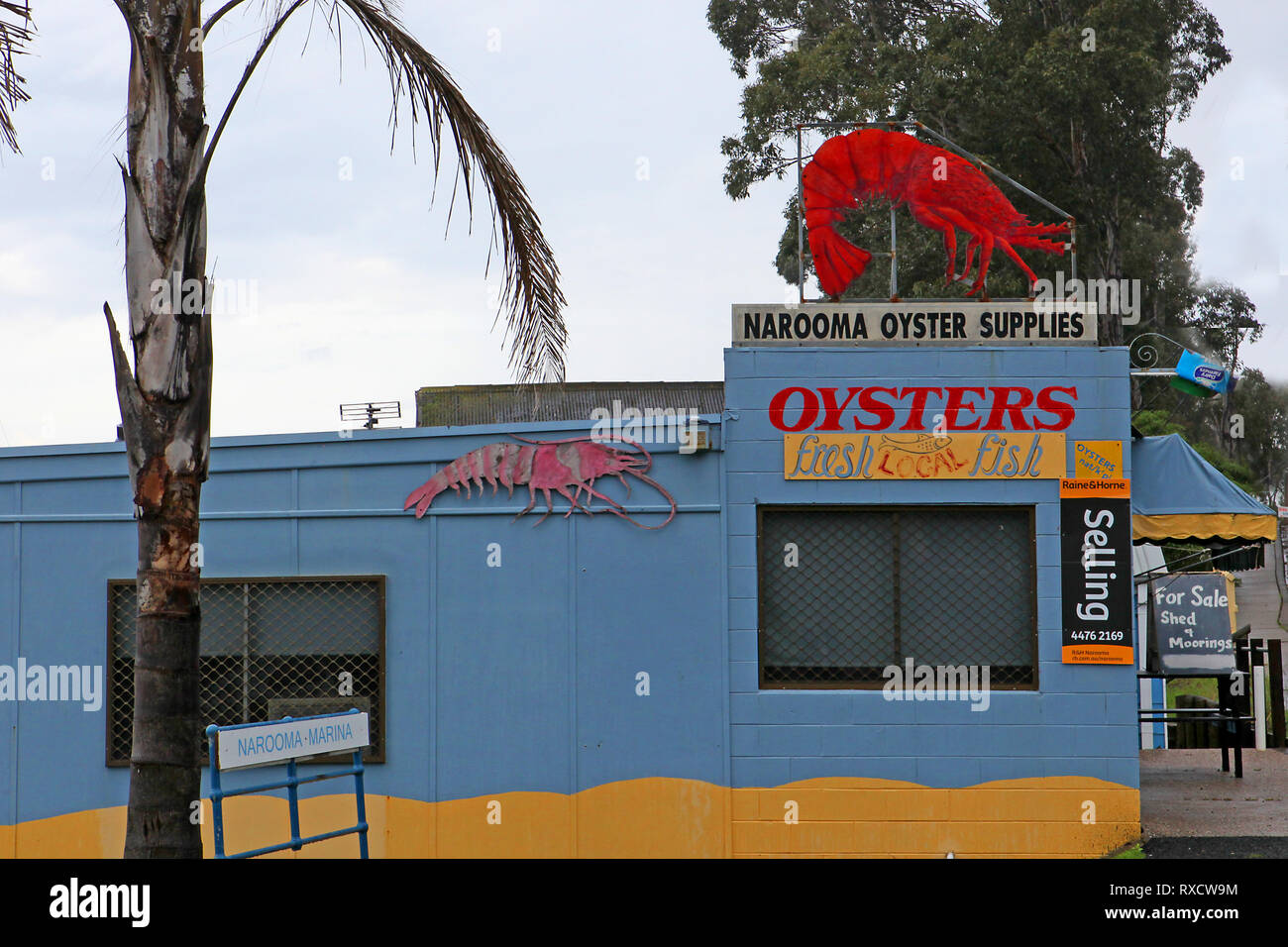 Visitare l'Australia. Narooma è una città in stato australiano del Nuovo Galles del Sud sull'estremo sud della costa. Narooma Oyster forniture. Foto Stock