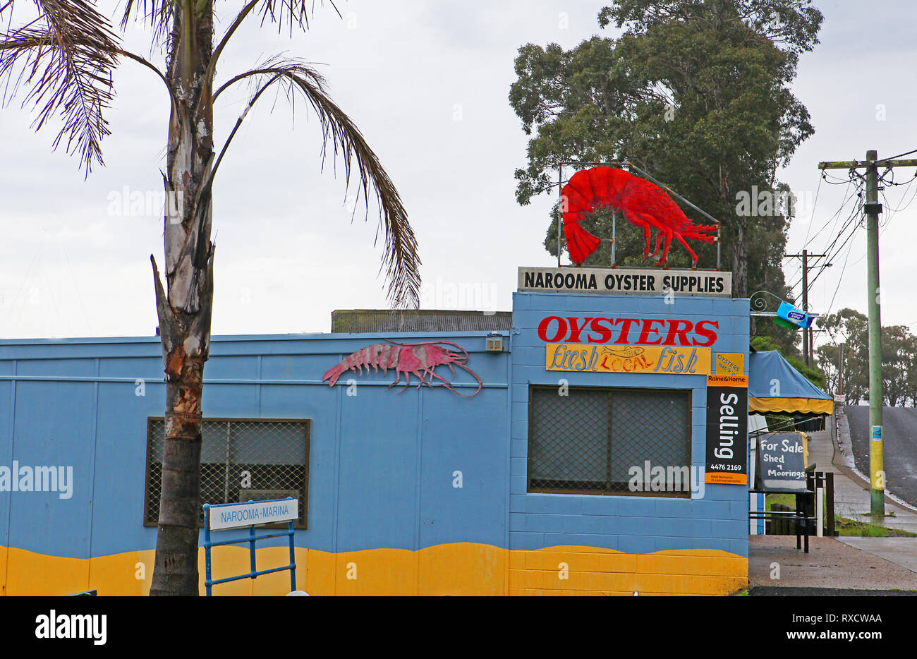 Visitare l'Australia. Narooma è una città in stato australiano del Nuovo Galles del Sud sull'estremo sud della costa. Narooma Oyster forniture. Foto Stock