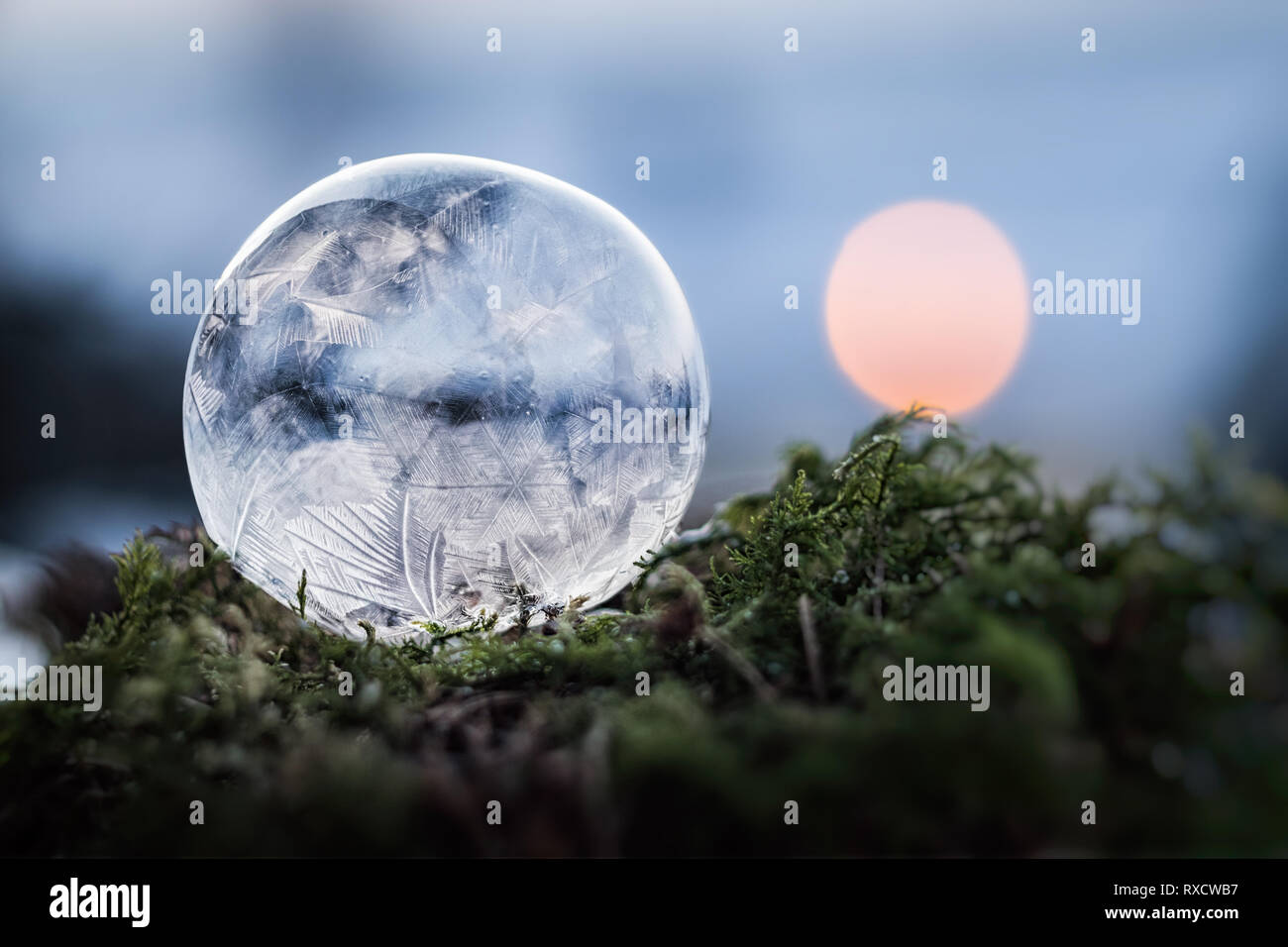 Seifenblase Gefrorene bei meno 10° Celsius bei Windstille Foto Stock