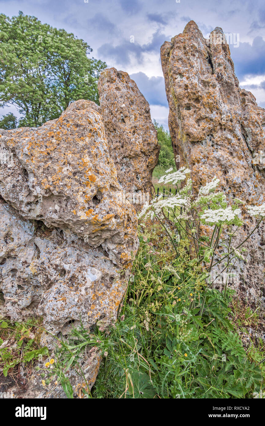 Il re gli uomini del cerchio di pietra, Rollright Stones, Oxfordshire, Regno Unito Foto Stock