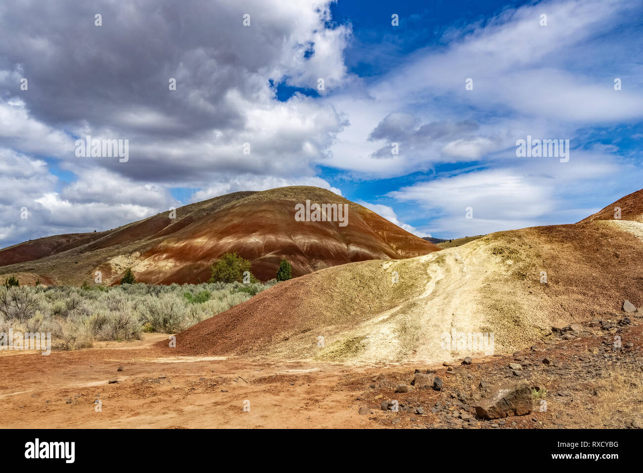 Rocce sedimentarie colline rocciose nel centro di Oregon desert, colline dipinte, John Day Fossil Beds National Monument, Mitchell, O, STATI UNITI D'AMERICA. Foto Stock