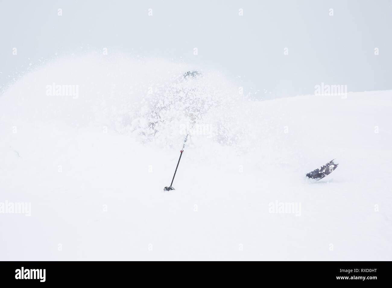 Sciare nel backcountry del Giappone dove la neve molle vola in alto su una testa di sciatori su ogni svolta. Foto Stock