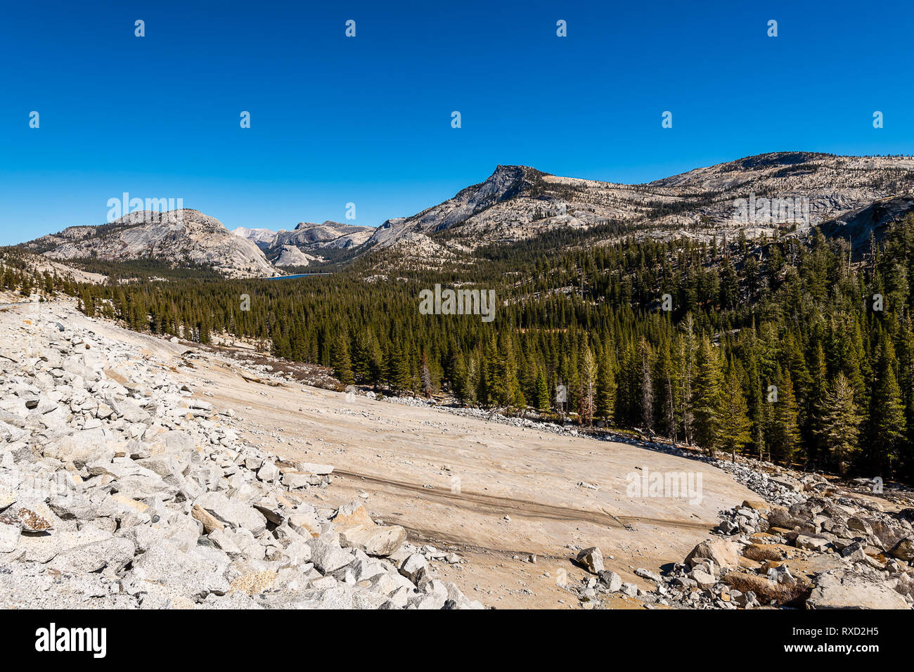 Olmsted Point Foto Stock