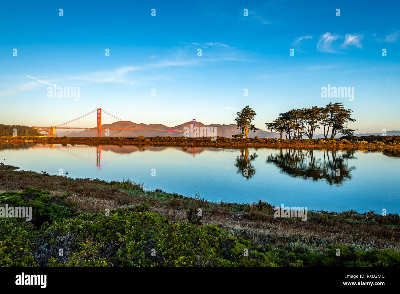 Crissy Field allo spuntar del giorno Foto Stock