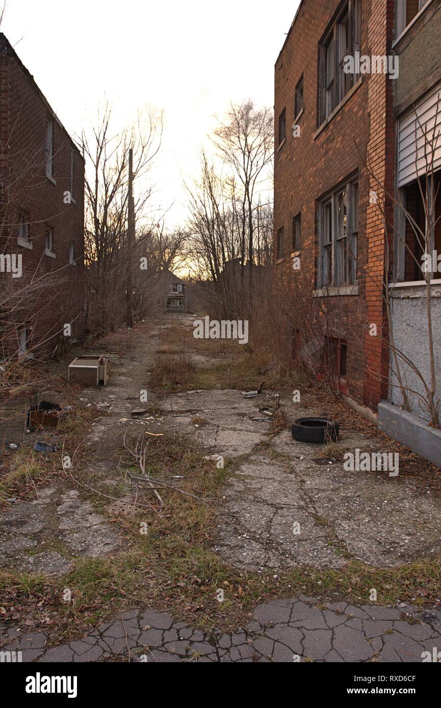 Percorso tra due abbandonati edifici in mattoni con finestre rotte in Detroit con cestino sul terreno, l'erba cresce attraverso la pavimentazione e alberi d'inverno Foto Stock