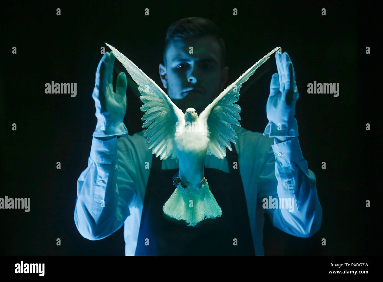 Londra, Regno Unito. 8 Mar 2019. Un Christie's dipendente pone con illustrazioni, precedentemente di proprietà della cantante-cantautore George Michael, "la verità incompleta", 2006, artista Damien Hirst a casa d'aste Christie's di Londra, Regno Unito, Venerdì, Marzo 08, 2019. Il pezzo fa parte di George Michael serata di raccolta e asta online la prossima settimana. Esso è stimato per ottenere un prezzo massimo di £1.5million fotografia : © Luca MacGregor Credit: Luke MacGregor/Alamy Live News Foto Stock