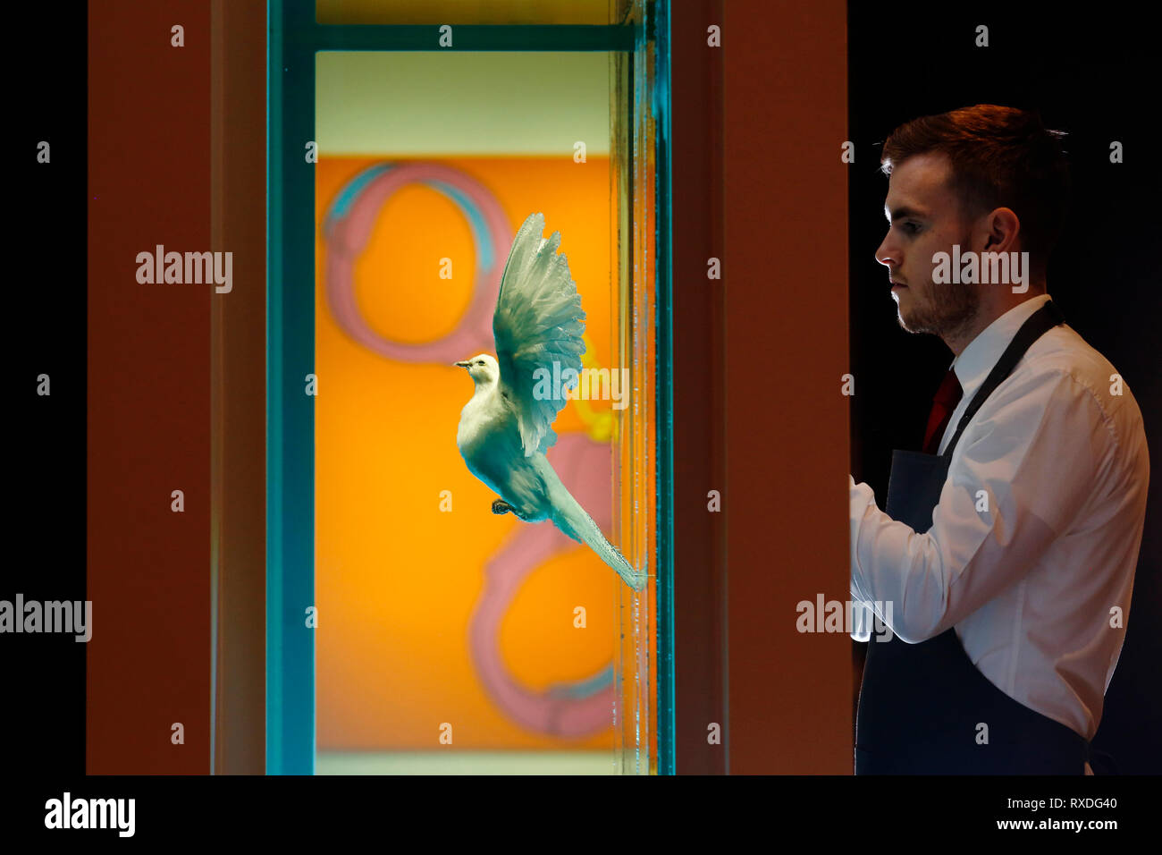 Londra, Regno Unito. 8 Mar 2019. Un Christie's dipendente pone con illustrazioni, precedentemente di proprietà della cantante-cantautore George Michael, "la verità incompleta", 2006, artista Damien Hirst (anteriore) e "manette' da Michael Craig-Martin (dietro) a casa d'aste Christie's di Londra, Regno Unito, Venerdì, Marzo 08, 2019. Il pezzo fa parte di George Michael serata di raccolta e asta online la prossima settimana. Esso è stimato per ottenere un prezzo massimo di £1.5million e 50.000 sterline rispettivamente fotografia : © Luca MacGregor Credit: Luke MacGregor/Alamy Live News Foto Stock