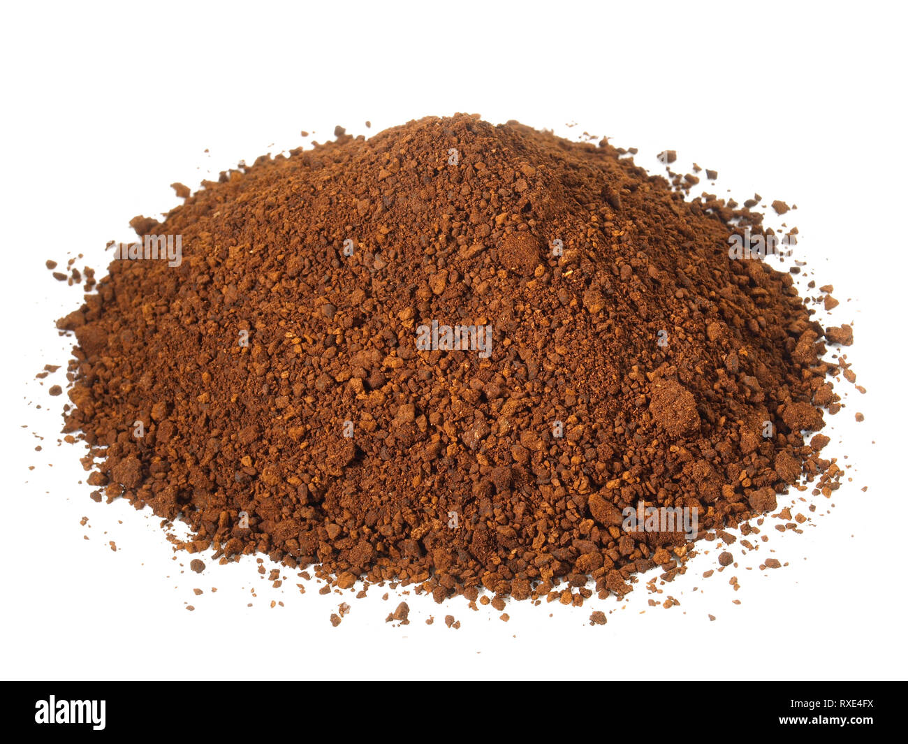 Fungo Chaga fresato su sfondo bianco Foto Stock