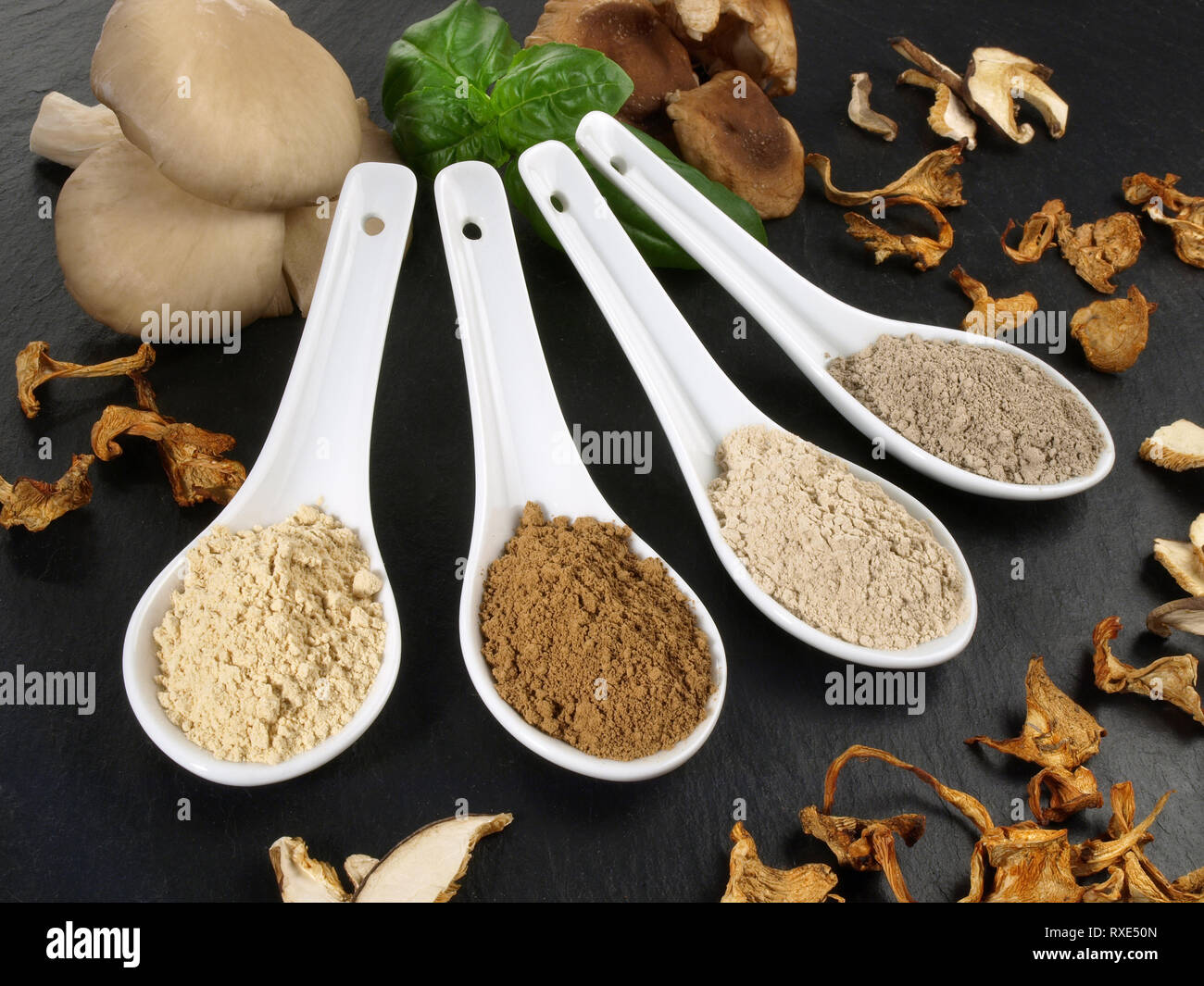 Funghi medicinali - sana nutrizione Foto Stock