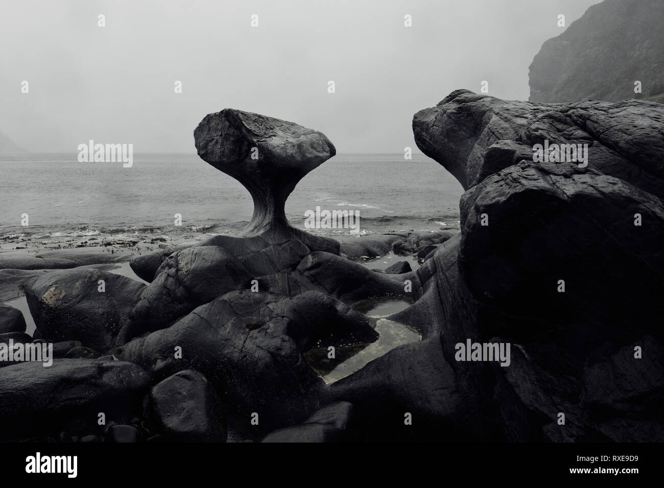 Il fungo / coda di balena mare sagomato eroso Kannesteinen rock Oppedal, Måløy Vagsoy Norvegia. Foto Stock