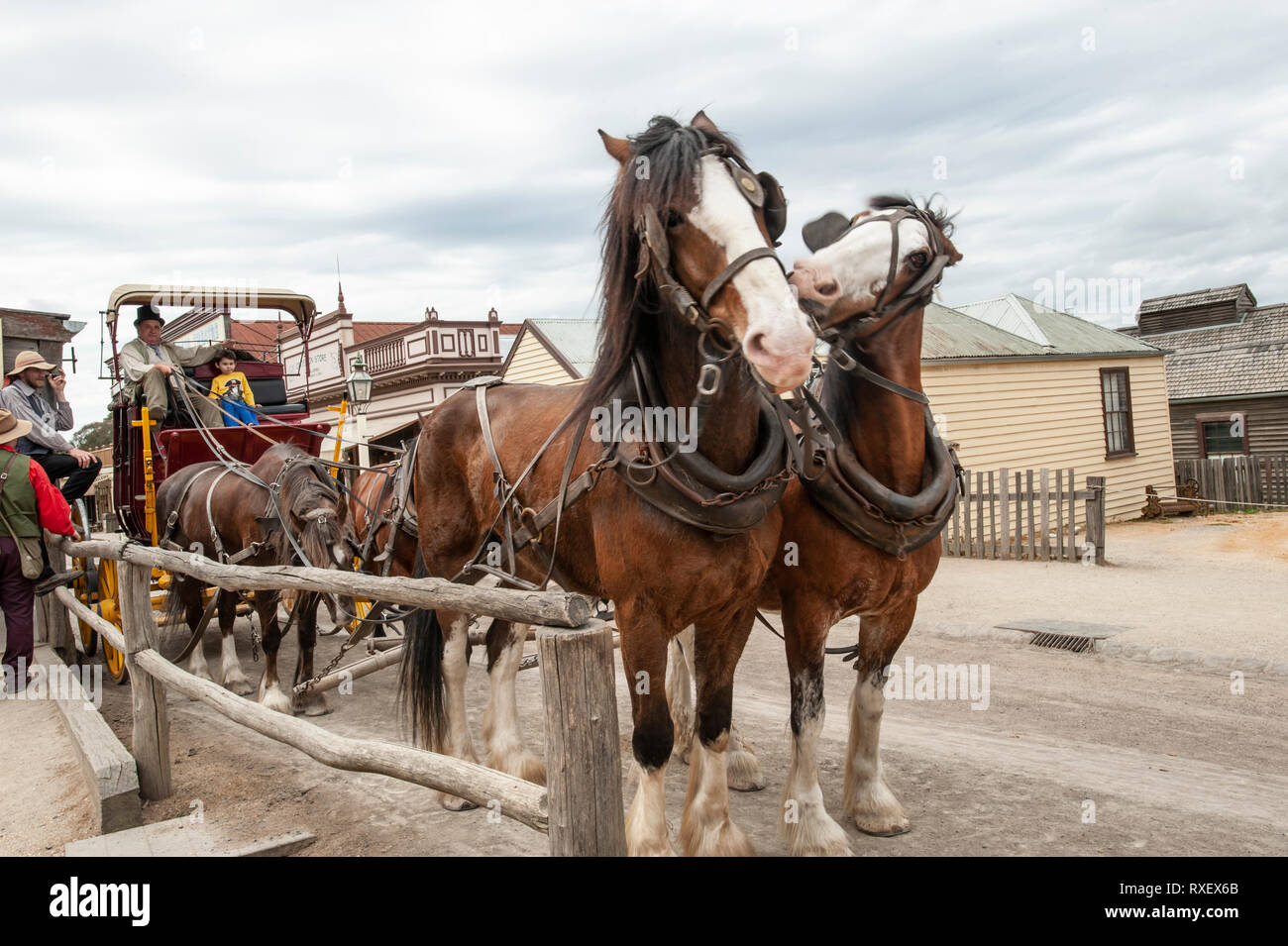 Sovereign Hill open air museum Foto Stock