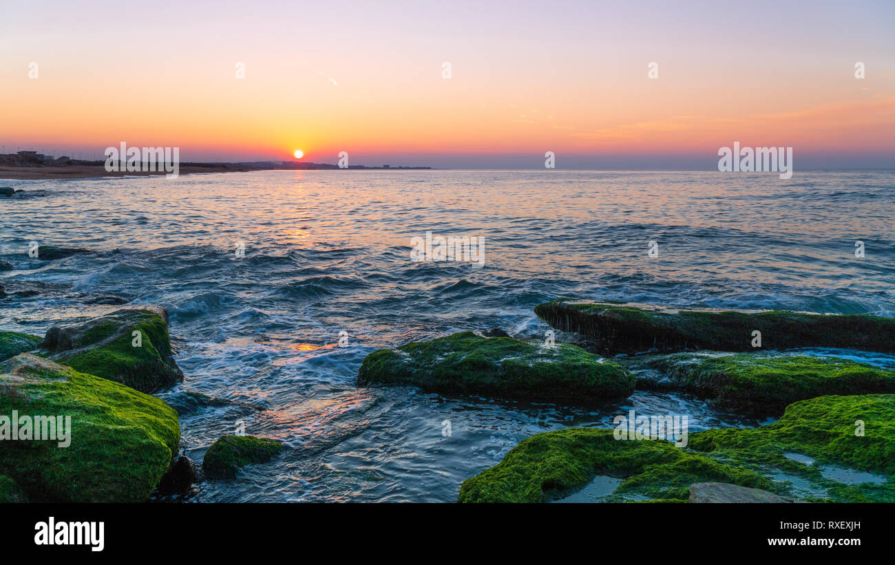 Colorato tramonto sul mare con alghe verdi, gli spruzzi delle onde Foto Stock