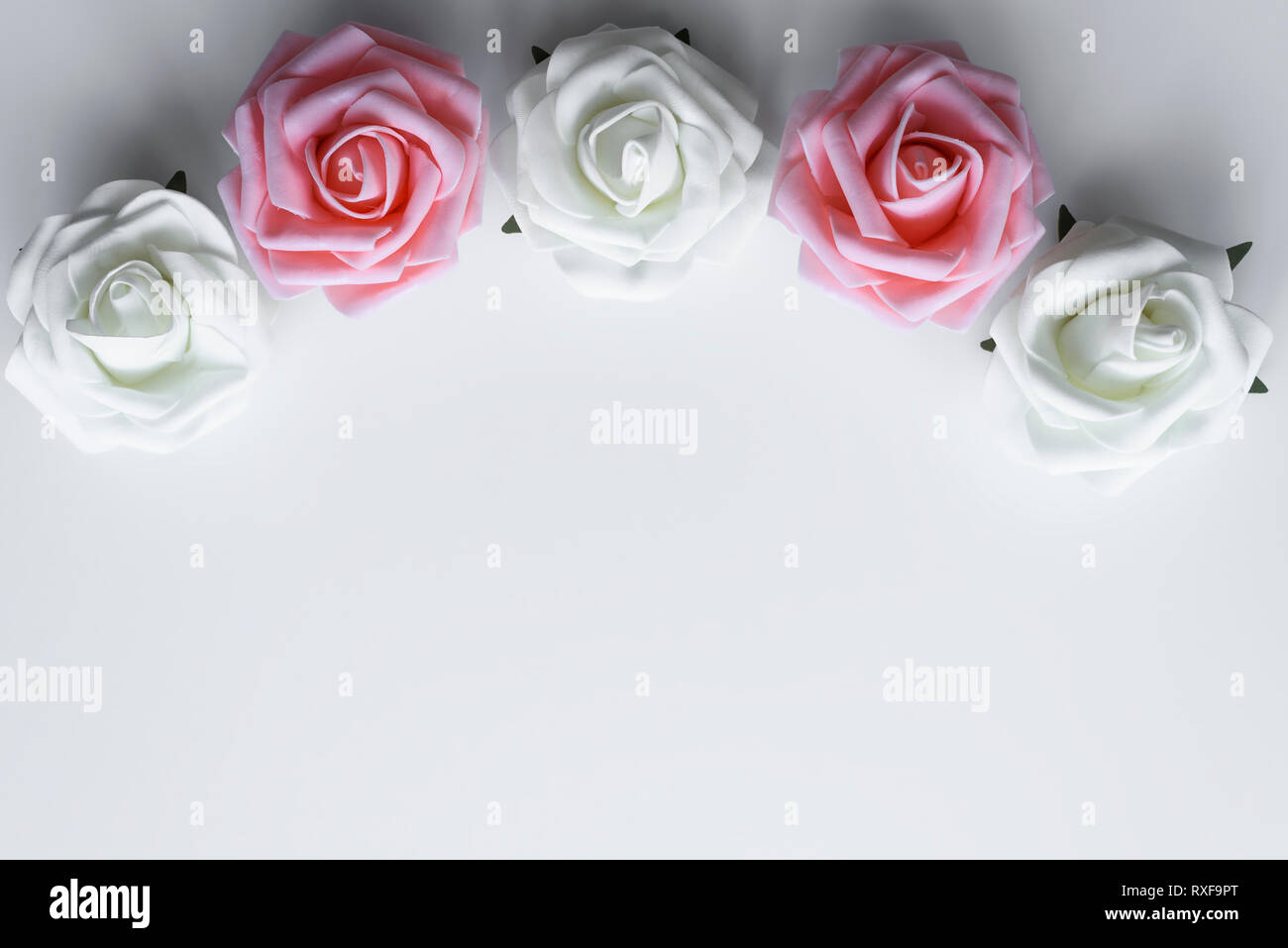 Bellissime Rose in rosa e bianco colore disposti come una cornice in stile rustico. Il giorno di San Valentino fiori decorazione, con copia spazio su uno sfondo bianco. Foto Stock