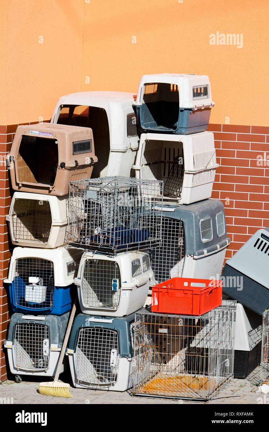 Utilizzate gabbie portatile per cani e gatti - Supporti in plastica per animali domestici. Foto Stock