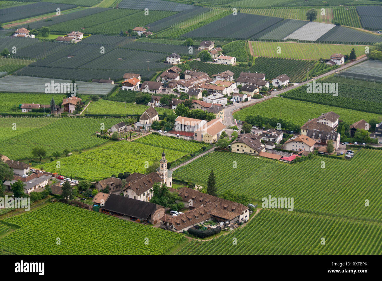 Settequerce, Italia, frutteti e vigneti nella zona agricola vicino a Bolzano Foto Stock