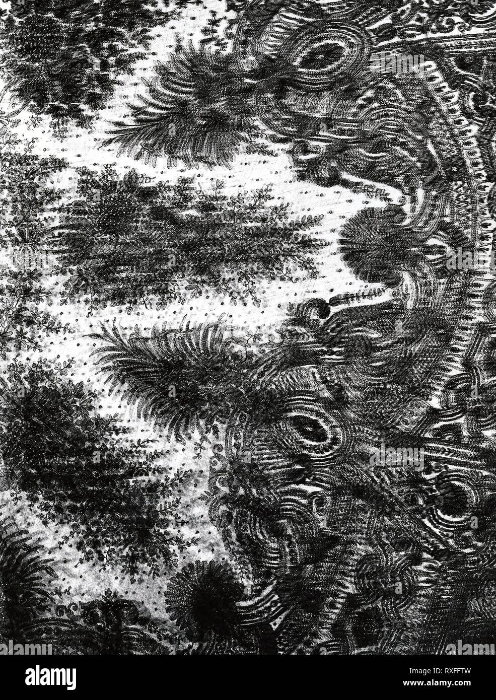 Cape. In Inghilterra o in Francia. Data: 1860-1869. Dimensioni: 134.6 x 263.5 cm (53 × 103 3/4 in.). Seta e mohair, macchina di spinta di pizzo. Origine: Inghilterra. Museo: Chicago Art Institute. Foto Stock