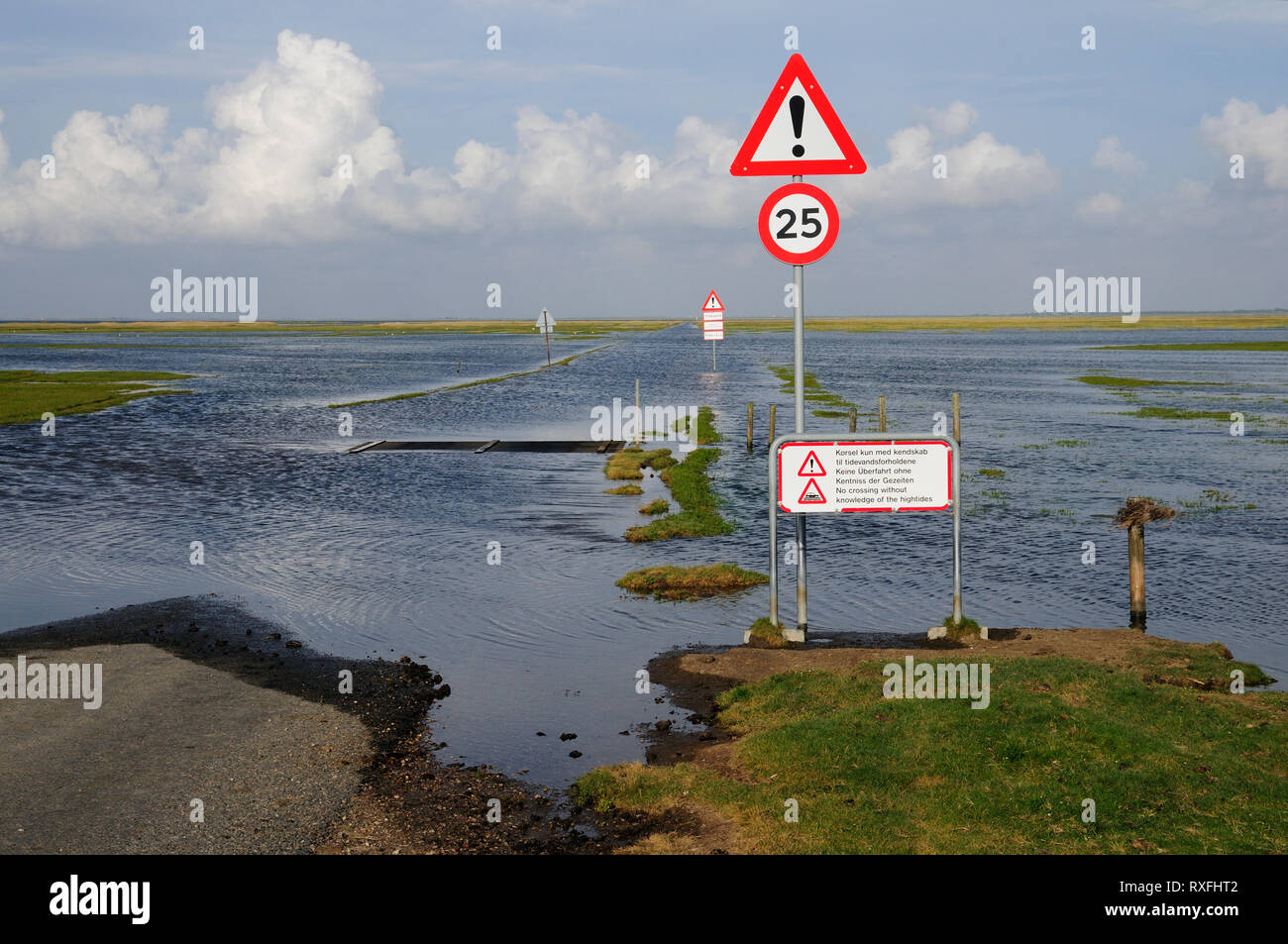Strada inondata dalle maree sul mare di Wadden isola di Mandø, sud dello Jutland, Danimarca. Con la bassa marea si può guidare dall'isola con la terraferma. Foto Stock