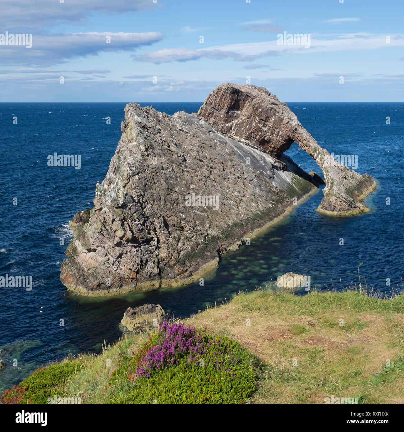 Archetto del violino di roccia su un luminoso giorno d'estate. Portknockie, murene, Scozia Foto Stock