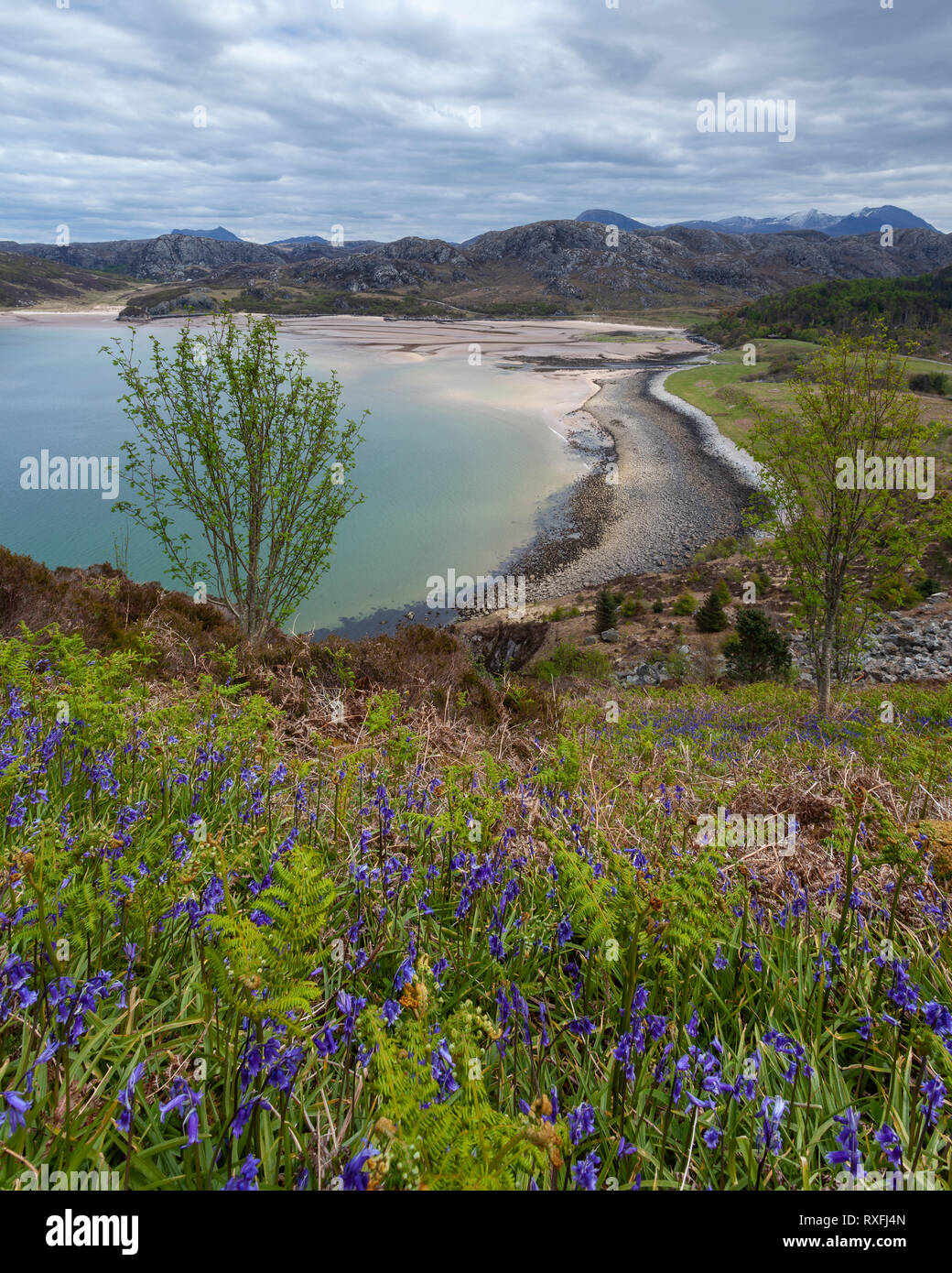 Gruinard Bay con bluebells in primo piano, Wester Ross, Scozia Foto Stock