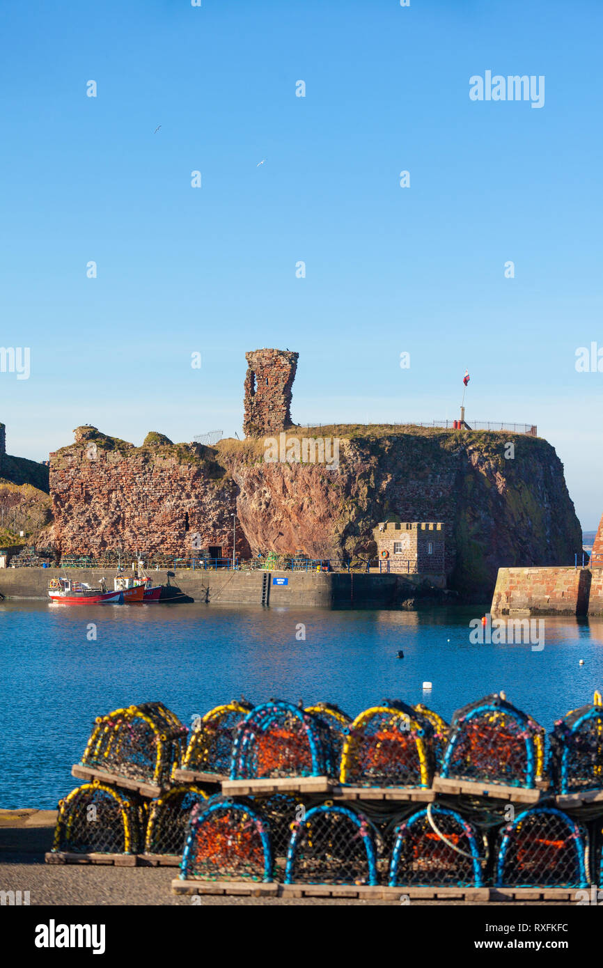 Dunbar porto e castello di Dunbar con aragosta cantre in primo piano. Sfondo. Dunbar, East Lothian, Scozia Foto Stock