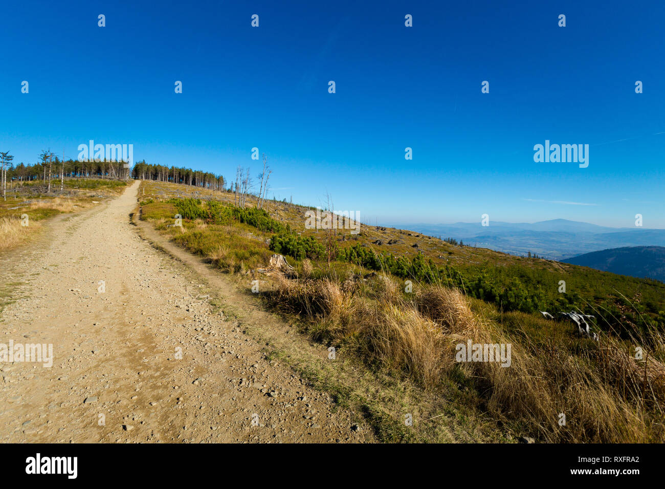 Splendido panorama ripreso in polacco monti Beskidy sul modo di Skrzyczne da Bialy Krzyz e Malinowska Skala durante le giornate di sole. Tappo del paesaggio Foto Stock