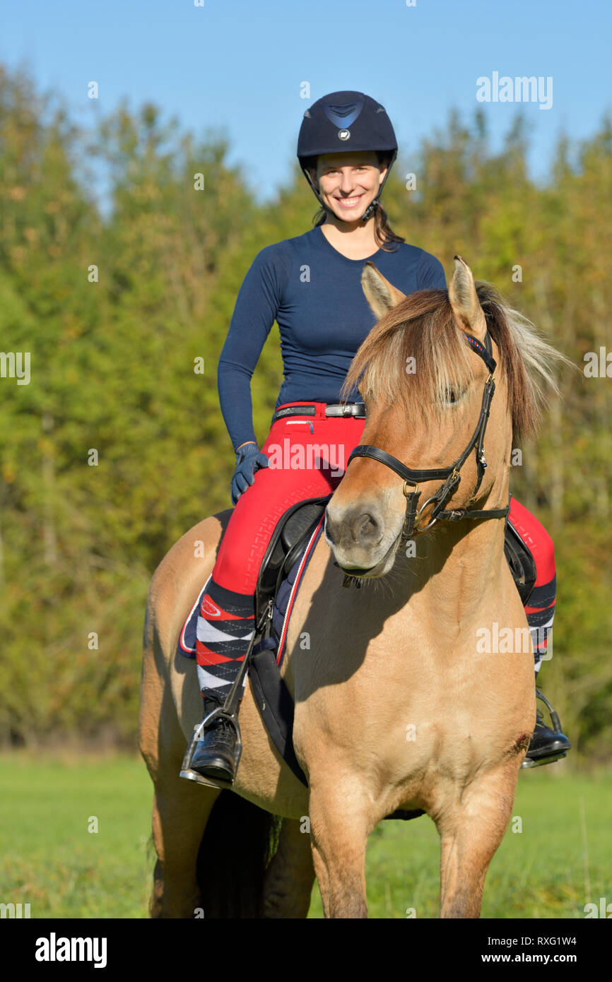 Pilota sul retro di un fiordo norvegese cavallo in autunno Foto Stock