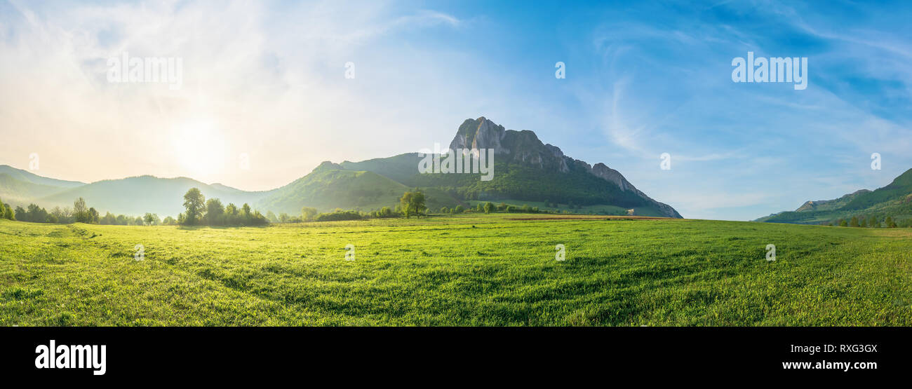 Panorama della campagna a sunrise. splendidi paesaggi con alberi nella foschia mattutina su un campo erboso. enorme scogliera rocciosa al di sopra della collina boschiva nel di Foto Stock
