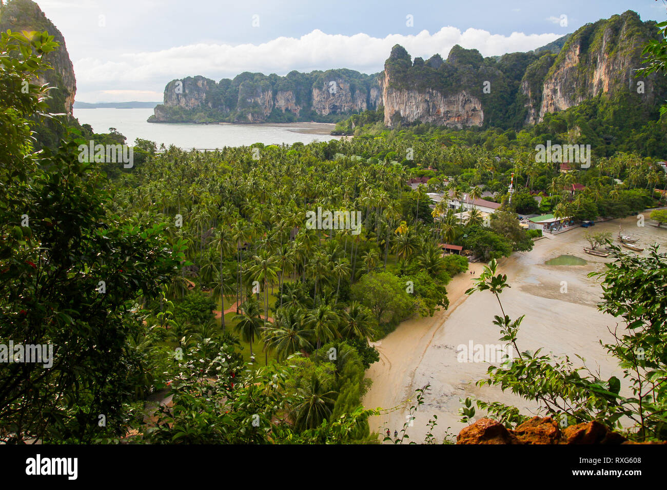 Aerieal vista della spiaggia di sabbia e palme da cocco foresta in Thailandia Foto Stock