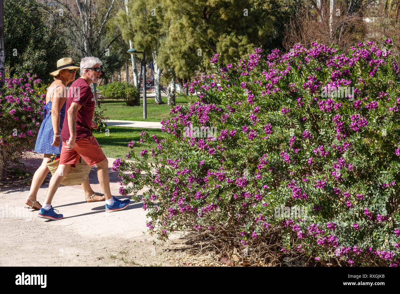 Valencia Turia Park. L'ex letto del fiume, un luogo per molte attività di svago, la coppia ha tenuto una passeggiata nel parco cittadino di Valencia Foto Stock
