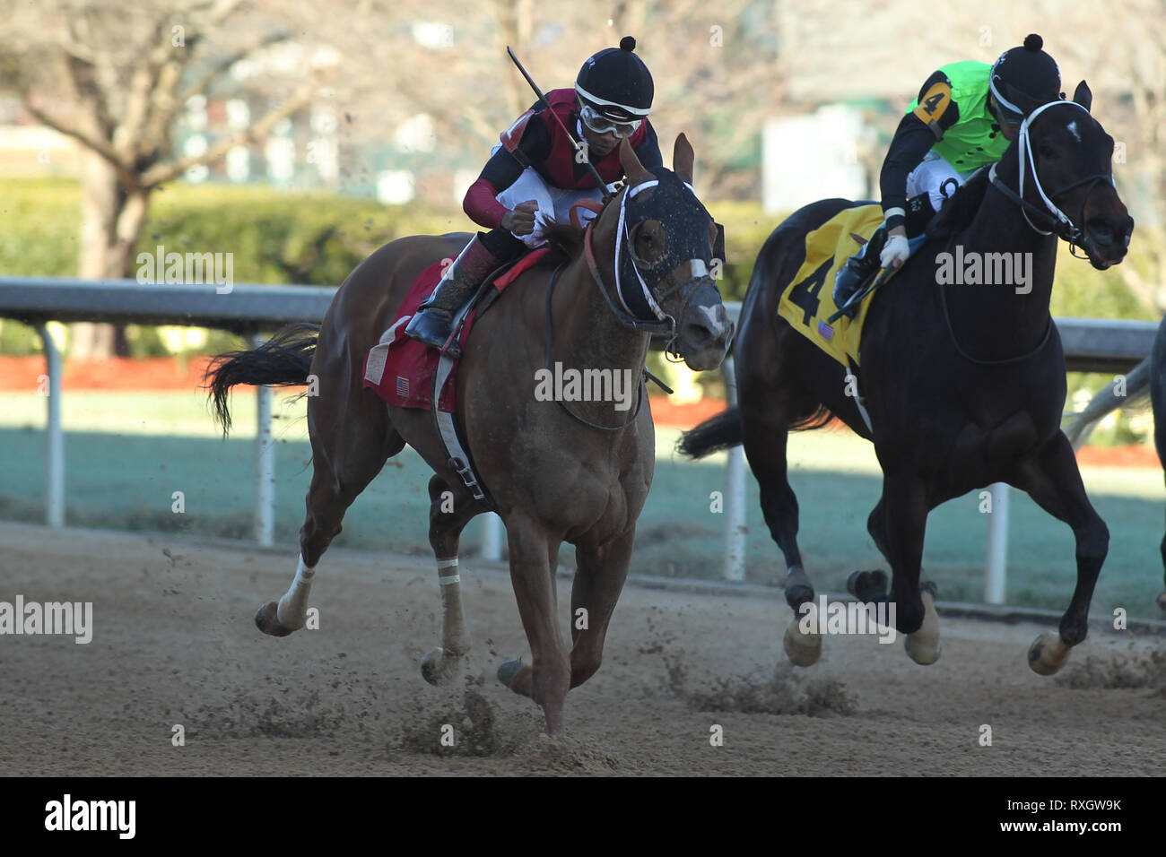 Hot Springs, Arkansas, Stati Uniti d'America. 9 Mar, 2019. 9 marzo 2019: Whitmore #1, guidato da Ricardo Santana Jr., in Hot Springs picchetti su Honeybee Stakes giorno a Oaklawn Park in Hot Springs, Arkansas. © Justin Manning/Eclipse Sportswire/CSM/Alamy Live News Foto Stock