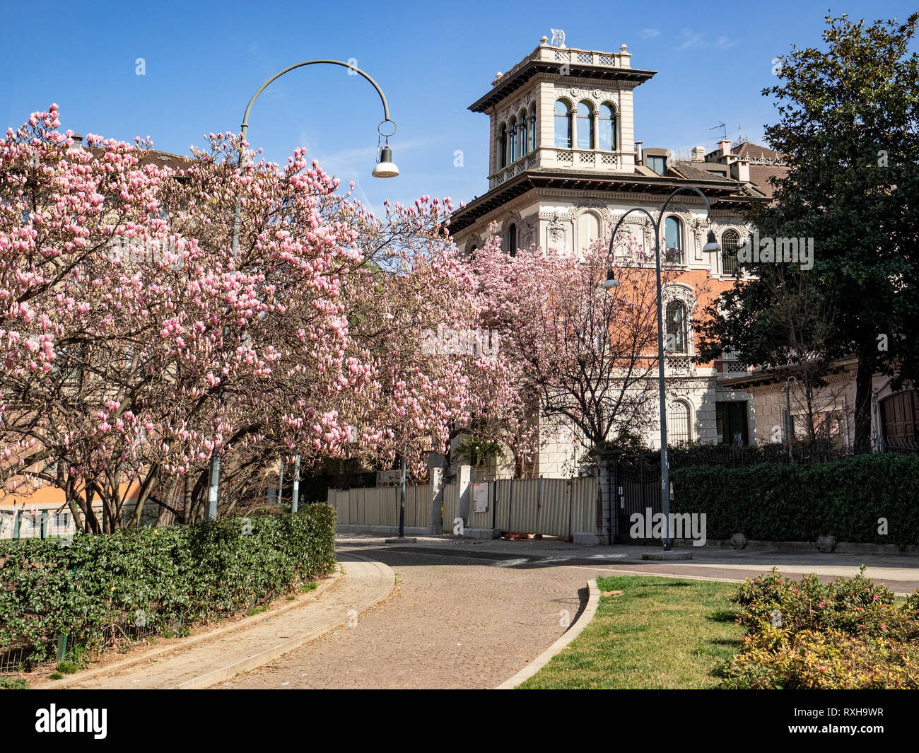 Milano - Italia, magnolia che fiorisce in un giardino pubblico vicino a un periodo villa Foto Stock